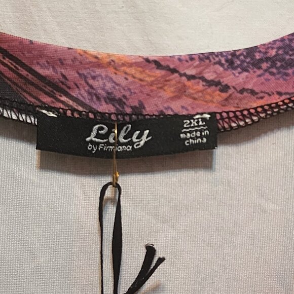 Lily by Firmiana Multicolor Painting Tunic Top Plus Size 2XL New - Picture 3 of 5